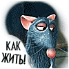 xRekrutx
